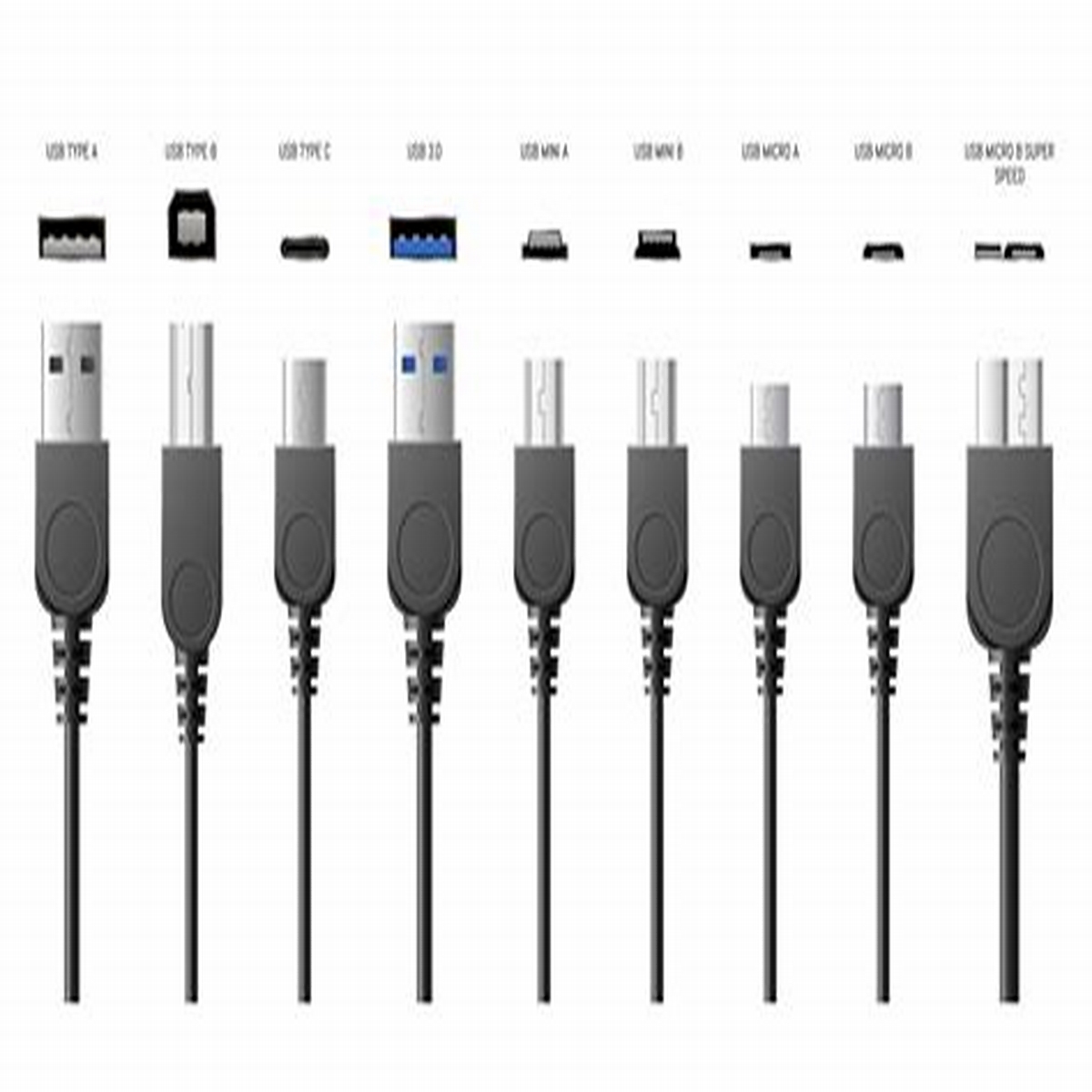 2024 Usb c to usb c charger time versions, - fronidac.shop